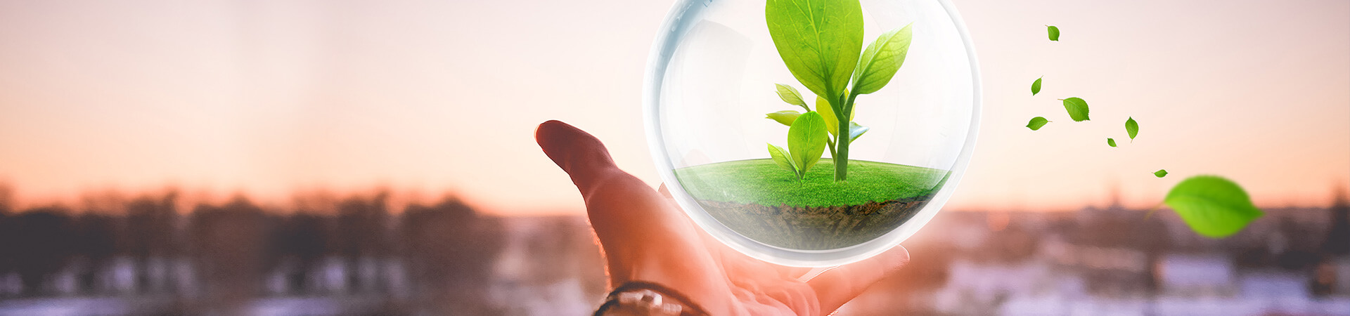 扬热燃气宅男APP破解版系列